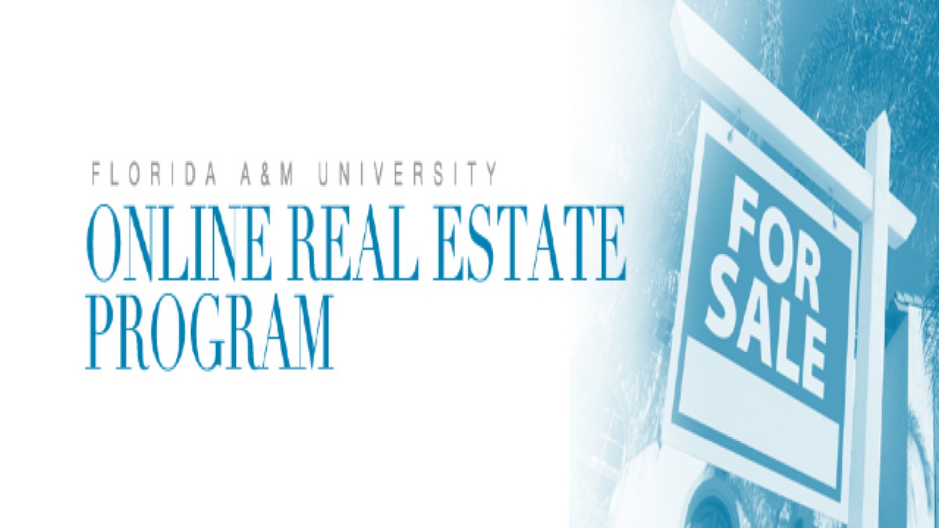 SBI Real Estate Program